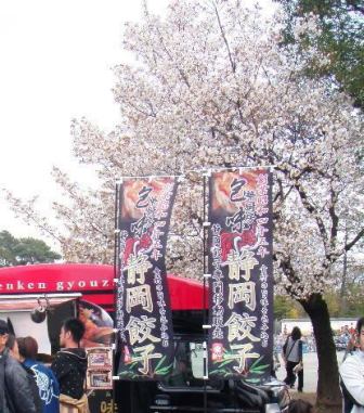桜とマッチ静岡餃子